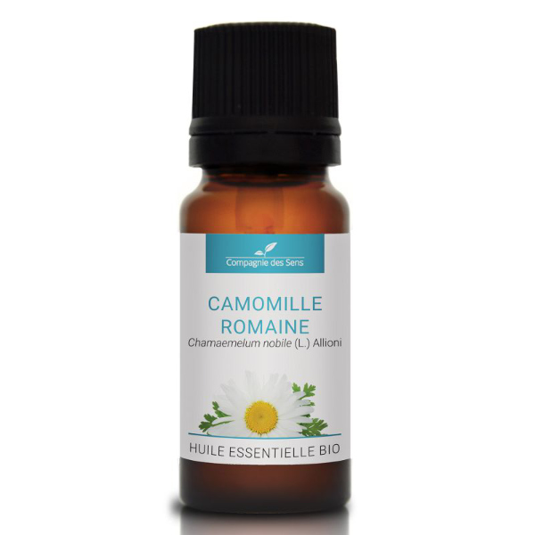 Rumianek rzymski - naturalny olejek eteryczny 10 ml Rumianek rzymski - naturalny olejek eteryczny 10 ml