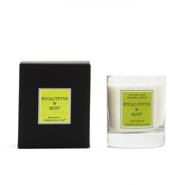 Świeca Santiago 230g Eucalyptus and mint, CM-5509