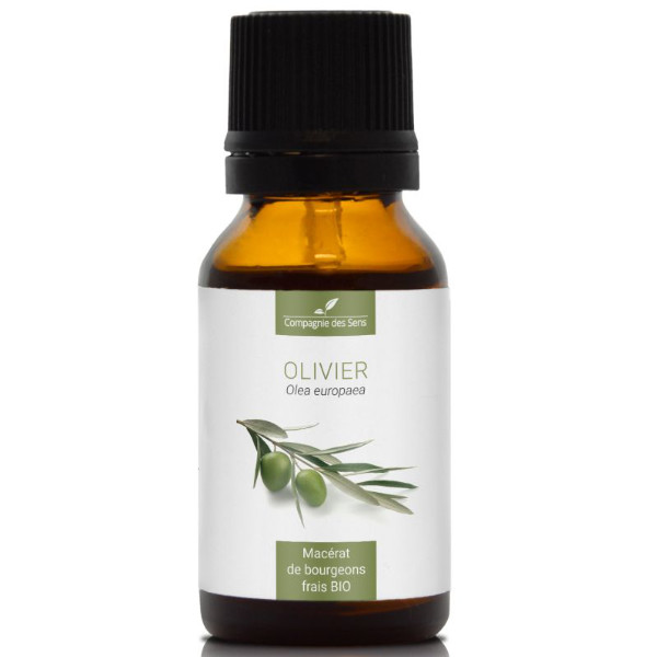 Naturalny macerat z pąków - OLIWKA EUROPEJSKA 15ml