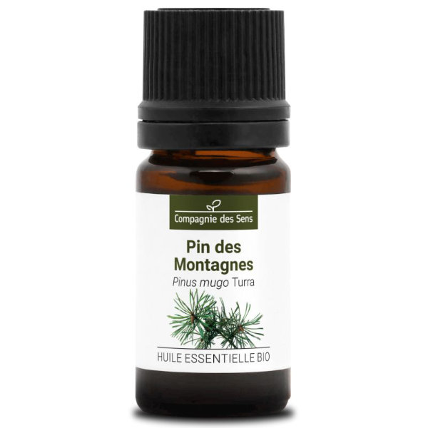Sosna górska - naturalny olejek eteryczny  5 ml, OL2424
