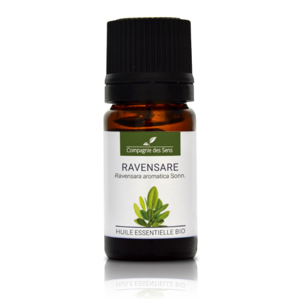 Ravensara - naturalny olejek eteryczny 5ml Ravensara - naturalny olejek eteryczny 5ml