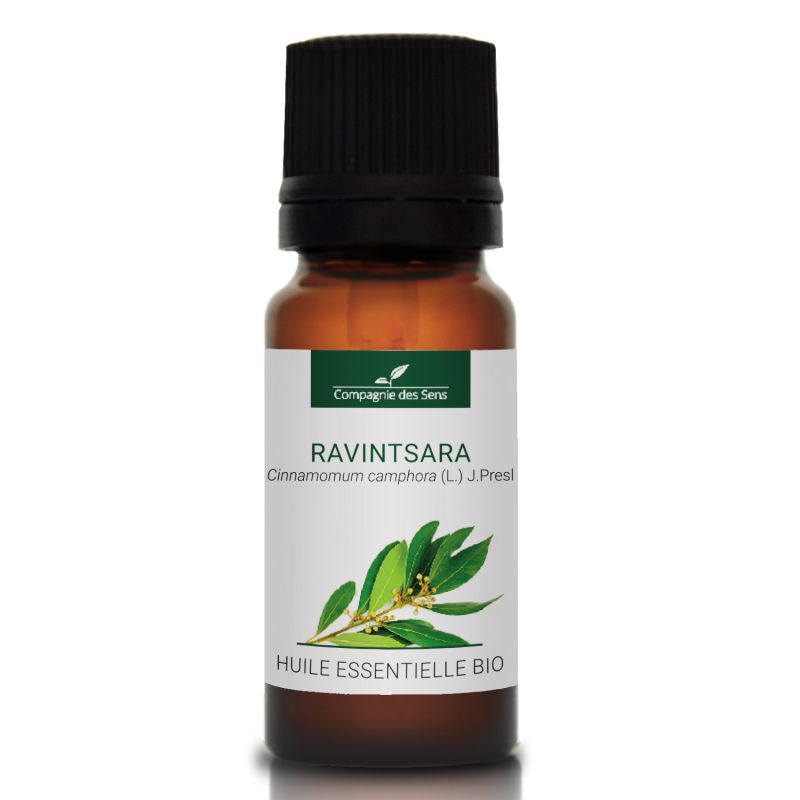 Cynamonowiec kamforowy Ravintsara - naturalny olejek eteryczny 10 ml, OL85