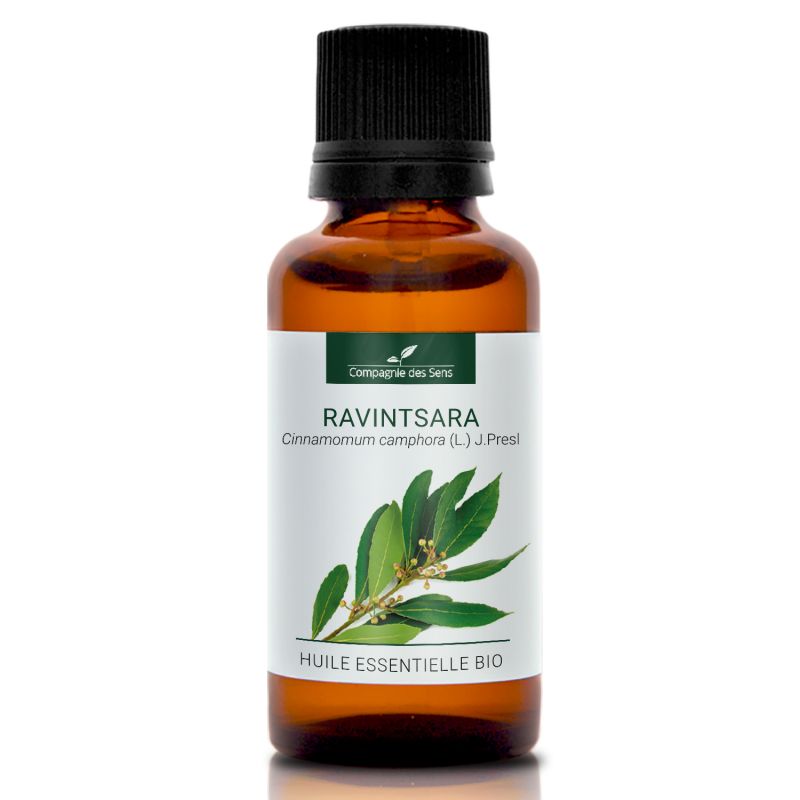 Cynamonowiec kamforowy Ravintsara - naturalny olejek eteryczny 30 ml, OL86