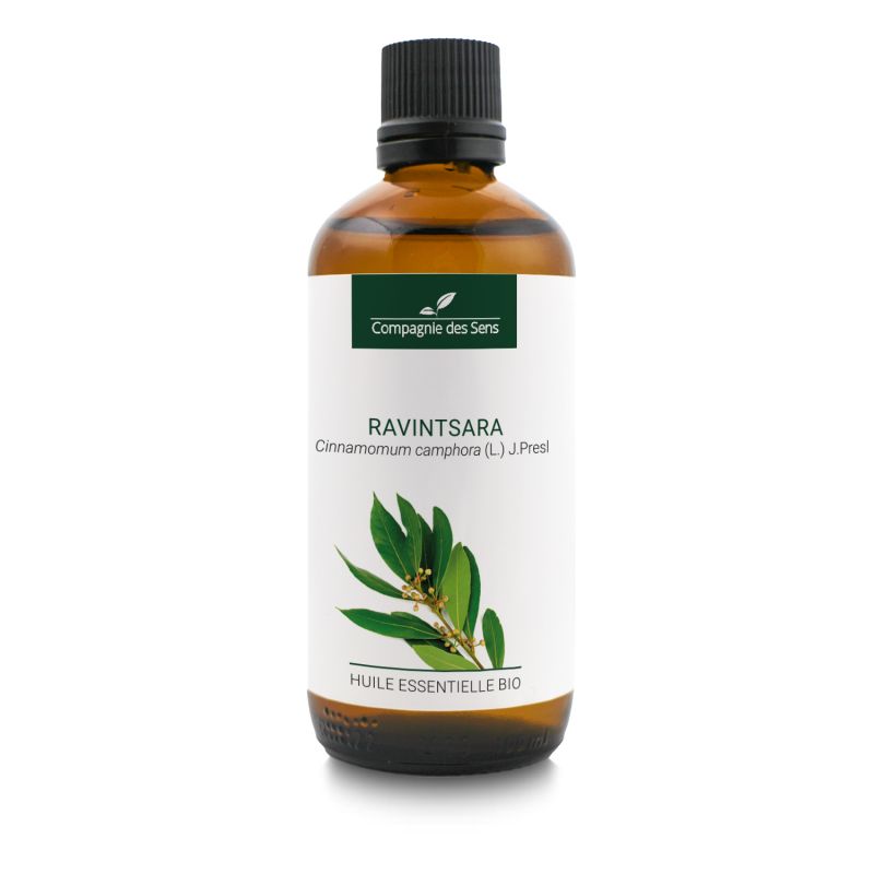 Cynamonowiec kamforowy Ravintsara - naturalny olejek eteryczny 100 ml