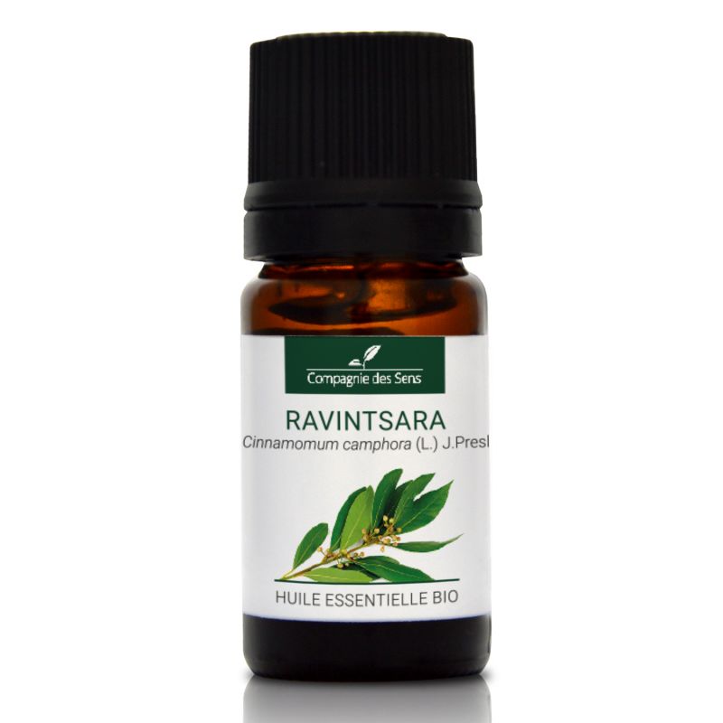 Cynamonowiec kamforowy Ravintsara - naturalny olejek eteryczny 5 ml