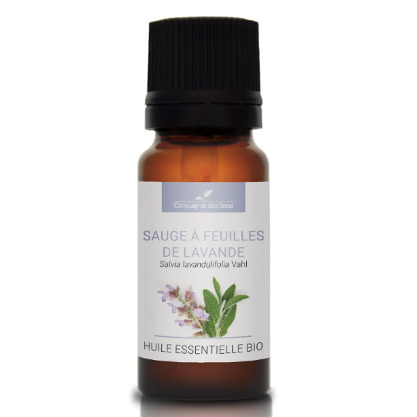 Szałwia lawendowa - naturalny olejek eteryczny 10ml