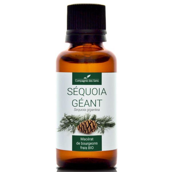 Naturalny macerat z pąków - SEKWOJA OLBRZYMIA 30ml