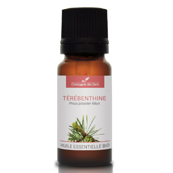 Sosna nadmorska (terpentyna) - naturalny olejek eteryczny 10ml