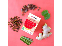 Herbata ziołowa witalna Forme&Vitalite Bio, INFUTON