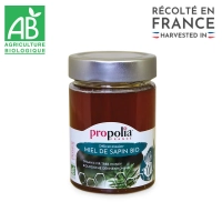 Miód jodłowy 400g BIO, MISA400BIO